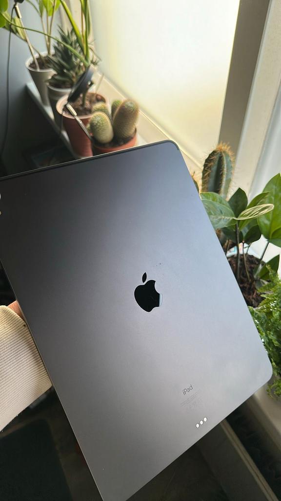 IPad Pro 12.9 inch, Computers en Software, Apple iPads, Zo goed als nieuw, Apple iPad Pro, Wi-Fi, 12 inch, 256 GB, Grijs, Ophalen of Verzenden