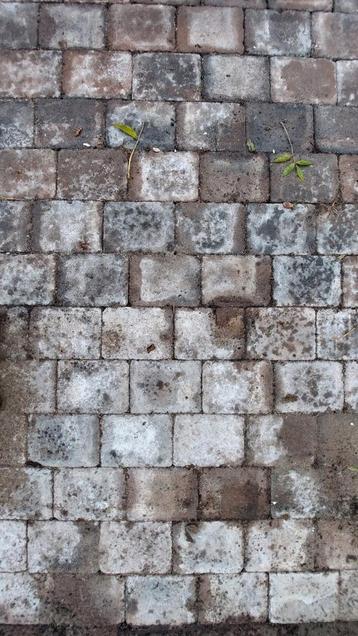 Terras Oud-Hollandse gebakken Klinkers 16 m2 rood geel grijs beschikbaar voor biedingen