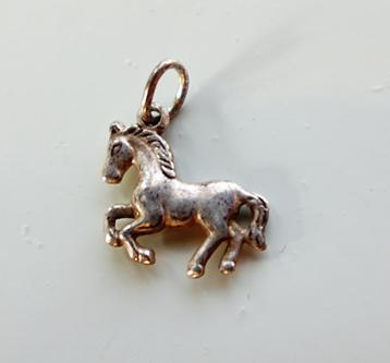 Bedel paard bedeltje paardje pony hanger kettinghanger *042 beschikbaar voor biedingen