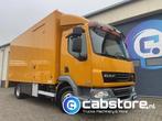 DAF LF 45.160 4x2 Euro 5 EEV - Year 2008 - Mobiele werkplaat, Auto's, Vrachtwagens, Automaat, Euro 5, Achterwielaandrijving, Overige kleuren