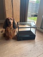 Essenza Kas - Zwart stalen kweekkas / kweekbak, Tuin en Terras, Kweekspullen, Ophalen, Gebruikt, Kweekbak