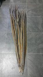 Carnavalsveren, fazantveren, prins carnaval, Kleding | Heren, Carnavalskleding en Feestkleding, Carnaval, Nieuw, Overige maten