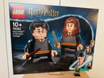 LEGO 76393 | Harry Potter & Hermione | NIEUW |, Ophalen, Nieuw, Complete set, Lego