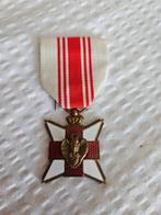 Rode Kruis Vlaanderen - Bloeddonor medaille v1, Ophalen of Verzenden, Overige soorten, Overige gebieden, Lintje, Medaille of Wings
