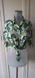 Pull & Bear blouse maat XS zgan, Kleding | Dames, Blouses en Tunieken, Ophalen of Verzenden, Zo goed als nieuw, Pull & Bear, Maat 34 (XS) of kleiner