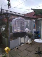 Bijna gratis / middel grote binnen vogelkooi, Dieren en Toebehoren, Vogels | Hokken en Kooien, Ophalen, Zo goed als nieuw, Metaal
