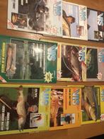 Visblad, Ophalen of Verzenden, Gebruikt, Boek of Tijdschrift