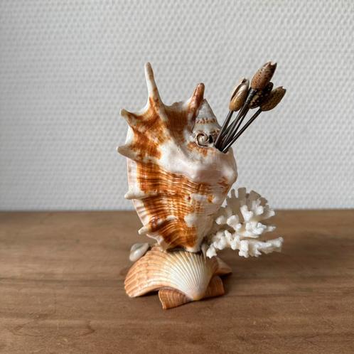 Grappige Schelp Cocktail Prikker Set, Koraal, Borrelplank, Verzamelen, Retro, Huis en Inrichting, Ophalen of Verzenden