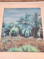 Rolde Ten Hoopen landschap 1958, Antiek en Kunst, Ophalen
