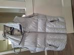 Gaastra bodywarmer maat xl, Kleding | Dames, Bodywarmers, Ophalen of Verzenden, Zo goed als nieuw, Maat 46/48 (XL) of groter, Grijs