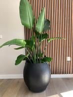 Rubberen baskets, Overige materialen, 40 cm of meer, Rond, Nieuw
