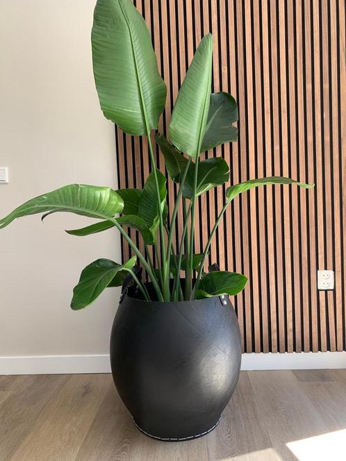 Rubberen baskets, Tuin en Terras, Bloempotten, Nieuw, Overige materialen, 40 cm of meer, Rond, Ophalen of Verzenden