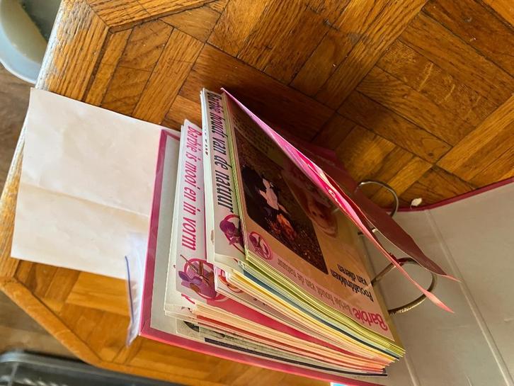 Barbie los bladig systeem, Verzamelen, Poppen, Gebruikt, Accessoires, Ophalen of Verzenden