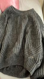 Trui gebreid dames maat S, Kleding | Dames, Truien en Vesten, Silver Creek, Ophalen of Verzenden, Zo goed als nieuw, Maat 36 (S)