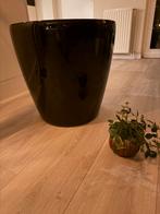 Elegante verrijdbare zwarte XL bloempot - Binnen/Buiten, Tuin en Terras, Bloempotten, Ophalen, Kunststof, 40 cm of meer, Rond