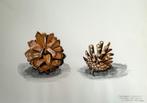 Louis van Gorkum - Denneappels 1984 - 39x52, Ophalen of Verzenden