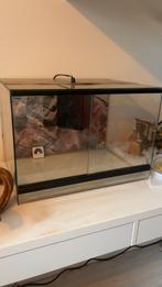Terrarium 50x35x35, Dieren en Toebehoren, Reptielen en Amfibieën | Toebehoren, Ophalen, Zo goed als nieuw, Terrarium of Paludarium