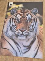 Tijger - Wereld Natuur Fonds - WNF, Verzenden, Ongelopen, Hond of Kat