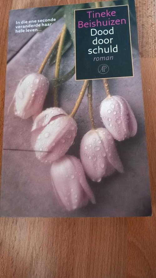 Tineke Beishuizen - Dood door schuld, Boeken, Literatuur, Zo goed als nieuw, Nederland, Ophalen of Verzenden