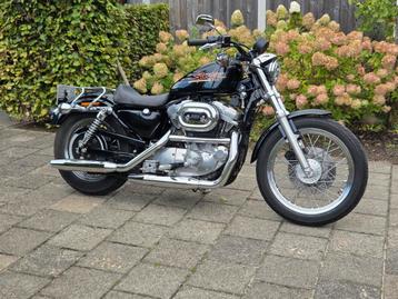 Harley Davidson Sportster xlh 883. beschikbaar voor biedingen