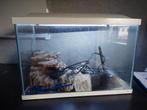 Aquarium 58x30x40, Dieren en Toebehoren, Vissen | Aquaria en Toebehoren, Ophalen, Filter of Co2
