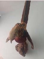 Gezocht taxidermie, opgezette dieren, Dieren en Toebehoren, Vogels | Overige Vogels, Meerdere dieren, Roofvogel