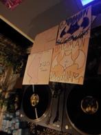 piet Leegwater dubbel lp TheJokerBadMan 30 euro, Ophalen of Verzenden, Zo goed als nieuw, 12 inch, Overige genres