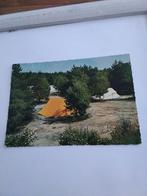 BEEKBERGEN.  RECREATIEOORD K.N.G.V., Ophalen of Verzenden, 1940 tot 1960, Natuur