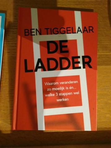 Ben Tiggelaar - De Ladder