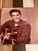 Elvis Presley: canvas doek, Ophalen, Zo goed als nieuw, Poster, Artwork of Schilderij