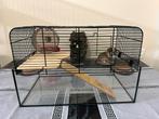Kooi Hok Knaagdieren Hamster Gerbil, Minder dan 75 cm, Zo goed als nieuw, Ophalen, Minder dan 60 cm