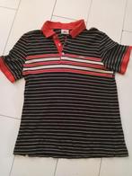 HEREN polo's LACOSTE, Kleding | Heren, Polo's, Ophalen, Gedragen, Rood