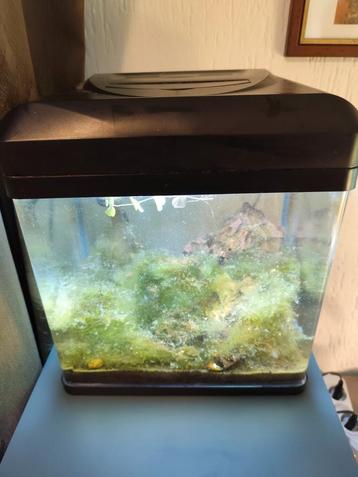 HS aqua Lago 30 aquarium  beschikbaar voor biedingen