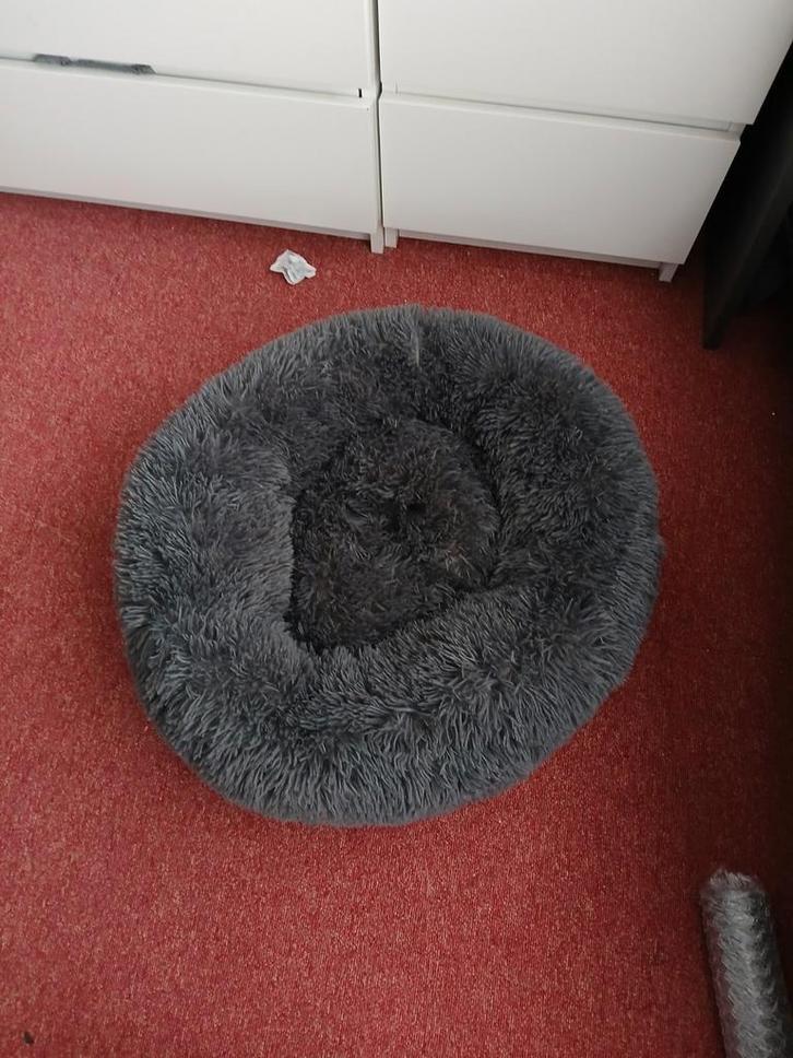 Zo genaamde donuts mand voor hond of kat, Dieren en Toebehoren, Hondenmanden, Ophalen