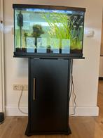 Aquarium met alle toebehoren, Dieren en Toebehoren, Ophalen, Gebruikt, Gevuld zoetwateraquarium