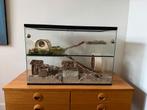 Knaagdier terrarium met plateaus, Zo goed als nieuw, Hok, Ophalen, Minder dan 60 cm