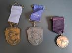 Airborne wandeltocht medaille slag om arnhem woii pegasus, Postzegels en Munten, Ophalen of Verzenden, Overige materialen