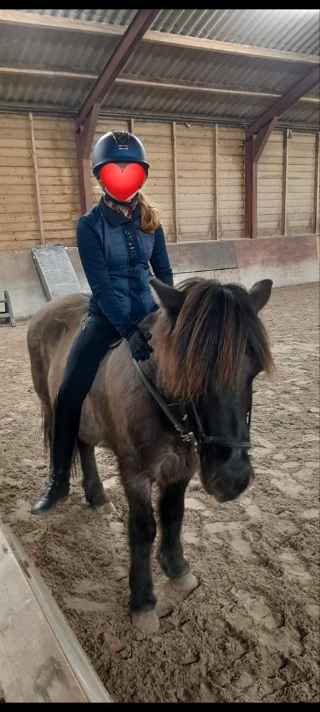 Verzorg pony gezocht! Bijrijder/ verzorger aangeboden!, Dieren en Toebehoren, Paarden en Pony's | Verzorgingsproducten, Ophalen of Verzenden