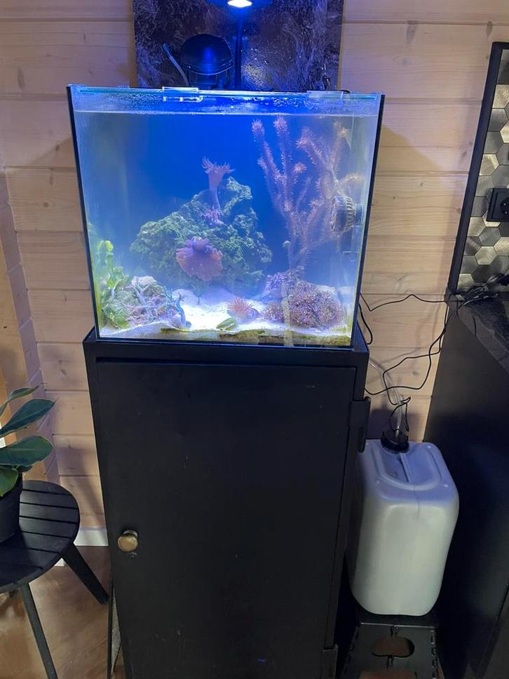 Waterbox 20 zeeaquarium met veel extra's, Dieren en Toebehoren, Vissen | Aquaria en Toebehoren, Zo goed als nieuw, Gevuld zeewateraquarium