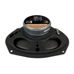 Phoenix Gold ZX69CXS - 6x9" Tweeweg Coaxial Speaker, Auto diversen, Autospeakers, Verzenden, Nieuw
