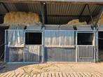 2 stallen met uitloop en weidegang te huur, Weidegang, 2 of 3 paarden of pony's