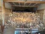 BEUKEN VERS Haardhout Kachelhout Brandhout Stookhout, Tuin en Terras, Haardhout, Minder dan 3 m³, Ophalen, Beukenhout, Blokken