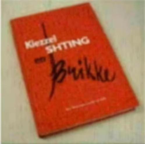 Kiezzel Shting en Brikke (Cor Driessen), Boeken, Geschiedenis | Stad en Regio, Zo goed als nieuw, 20e eeuw of later, Ophalen of Verzenden