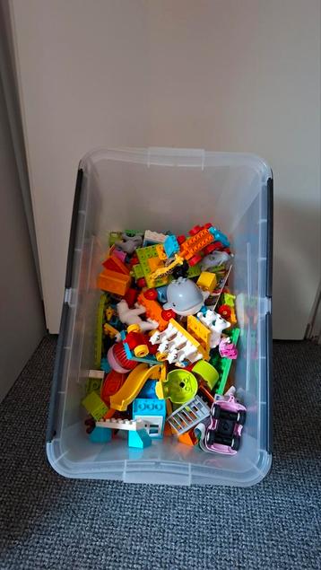 Grote Kist Lego Duplo - Inclusief Kist! beschikbaar voor biedingen