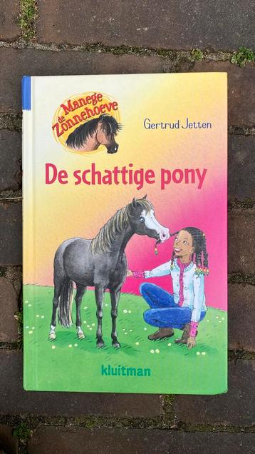 Gertrud Jetten - De schattige pony beschikbaar voor biedingen