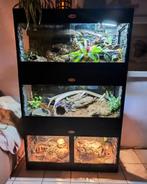 Osb3 terrarium RepHouSZ. Ook maatwerk, Dieren en Toebehoren, Reptielen en Amfibieën | Toebehoren, Ophalen, Nieuw, Terrarium of Paludarium
