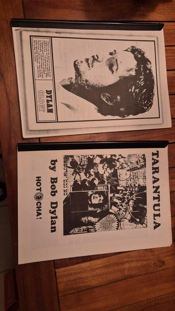 Bob Dylan - Tarantula & Dylanology, Boeken, Literatuur, Gelezen, Amerika, Ophalen of Verzenden