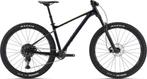 Giant Fathom 29er 2