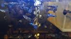 Blue dragon guppys, Dieren en Toebehoren, Vissen | Aquariumvissen, Vis, Zoetwatervis