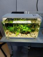 SuperFish 25 liter aquarium, Ophalen, Zo goed als nieuw, Leeg aquarium